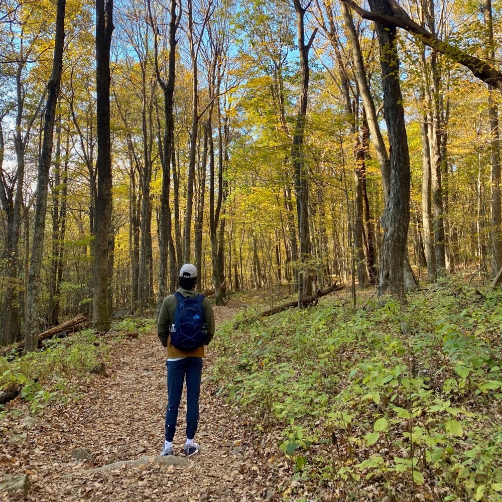 Meet your Posher, Josh